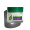 Crème de nuit régénérante à l'Aloe Vera
